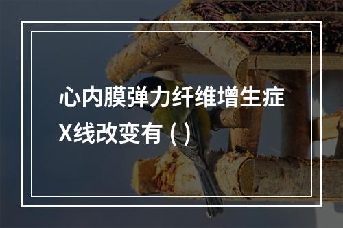 心内膜弹力纤维增生症X线改变有 ( )