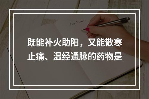 既能补火助阳，又能散寒止痛、温经通脉的药物是