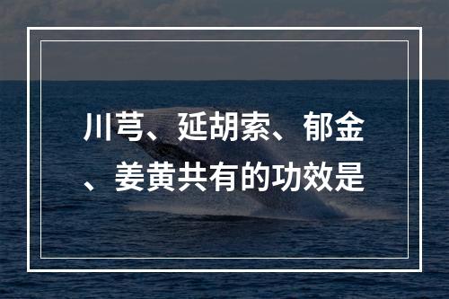 川芎、延胡索、郁金、姜黄共有的功效是