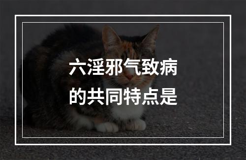 六淫邪气致病的共同特点是