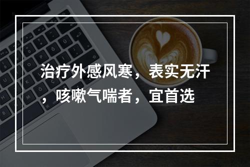 治疗外感风寒，表实无汗，咳嗽气喘者，宜首选