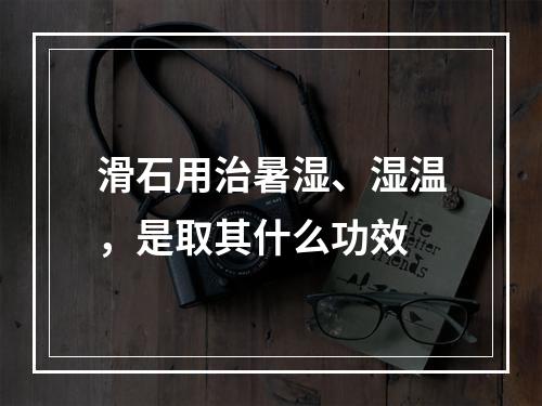 滑石用治暑湿、湿温，是取其什么功效