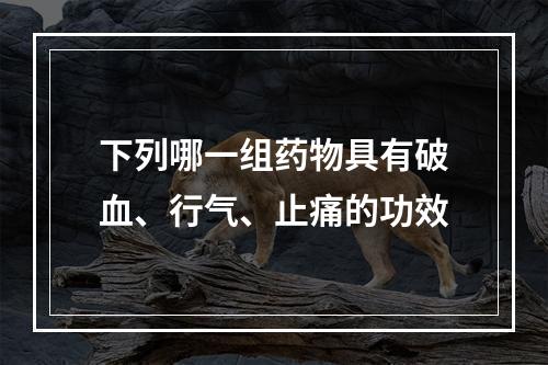 下列哪一组药物具有破血、行气、止痛的功效