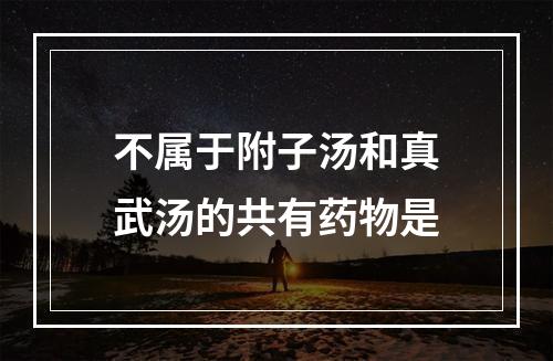 不属于附子汤和真武汤的共有药物是