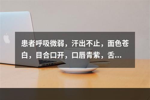 患者呼吸微弱，汗出不止，面色苍白，目合口开，口唇青紫，舌淡脉