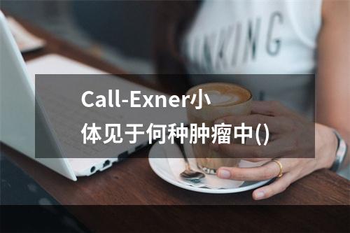 Call-Exner小体见于何种肿瘤中()