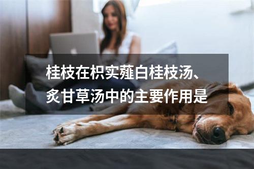 桂枝在枳实薤白桂枝汤、炙甘草汤中的主要作用是