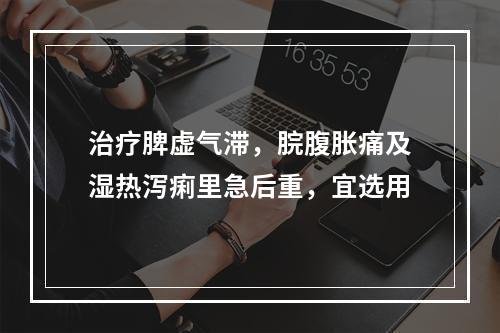 治疗脾虚气滞，脘腹胀痛及湿热泻痢里急后重，宜选用