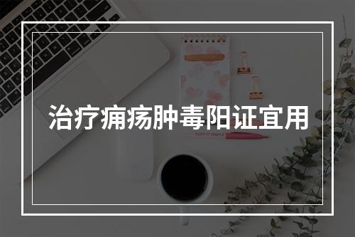 治疗痈疡肿毒阳证宜用