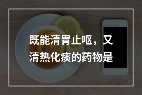 既能清胃止呕，又清热化痰的药物是