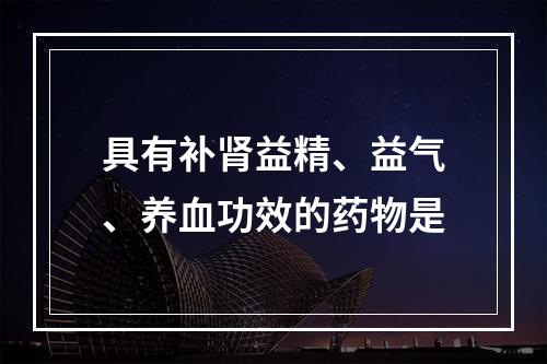 具有补肾益精、益气、养血功效的药物是