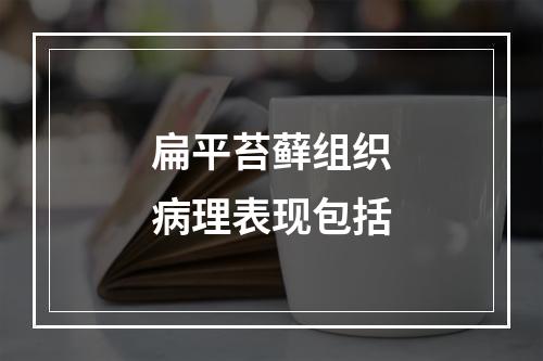 扁平苔藓组织病理表现包括