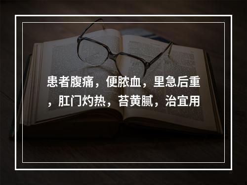 患者腹痛，便脓血，里急后重，肛门灼热，苔黄腻，治宜用