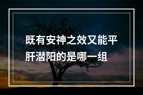 既有安神之效又能平肝潜阳的是哪一组