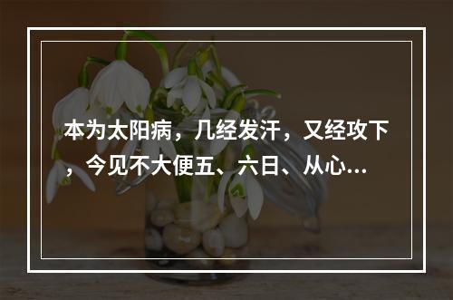 本为太阳病，几经发汗，又经攻下，今见不大便五、六日、从心下至