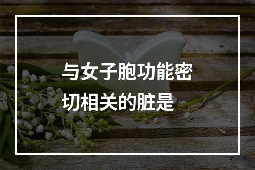 与女子胞功能密切相关的脏是