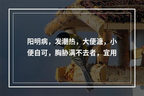 阳明病，发潮热，大便溏，小便自可，胸胁满不去者，宜用