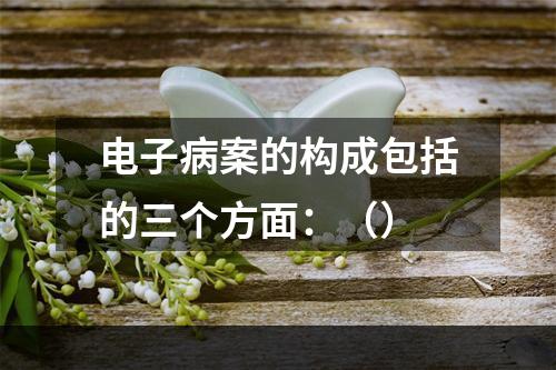 电子病案的构成包括的三个方面：（）