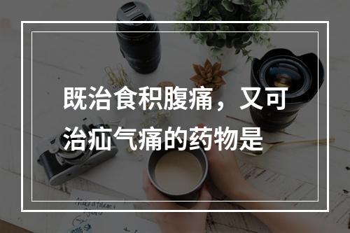 既治食积腹痛，又可治疝气痛的药物是