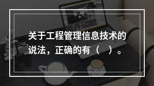 关于工程管理信息技术的说法，正确的有（　）。