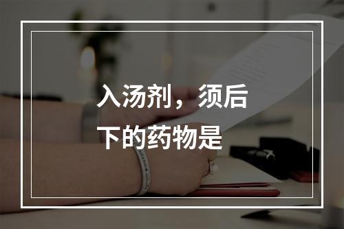 入汤剂，须后下的药物是