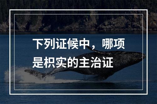 下列证候中，哪项是枳实的主治证