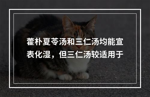 藿朴夏苓汤和三仁汤均能宣表化湿，但三仁汤较适用于