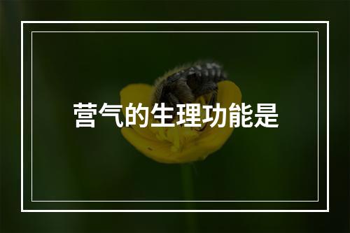 营气的生理功能是