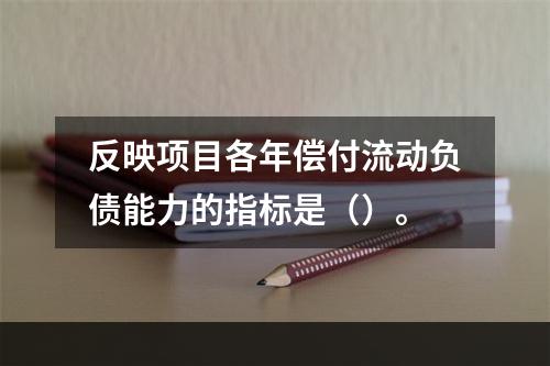 反映项目各年偿付流动负债能力的指标是（）。