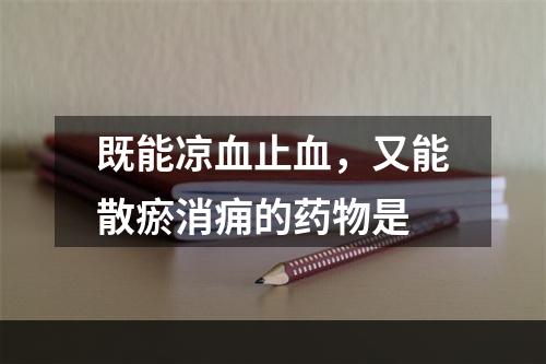 既能凉血止血，又能散瘀消痈的药物是