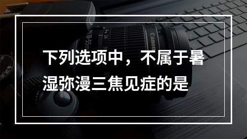 下列选项中，不属于暑湿弥漫三焦见症的是