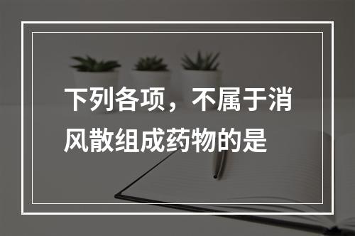 下列各项，不属于消风散组成药物的是