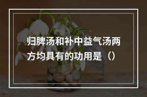 归脾汤和补中益气汤两方均具有的功用是（）