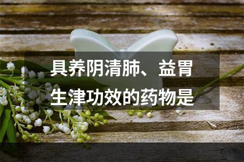 具养阴清肺、益胃生津功效的药物是