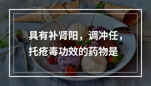 具有补肾阳，调冲任，托疮毒功效的药物是