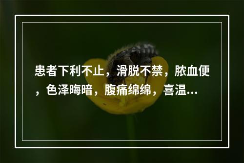 患者下利不止，滑脱不禁，脓血便，色泽晦暗，腹痛绵绵，喜温喜按