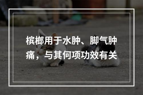 槟榔用于水肿、脚气肿痛，与其何项功效有关