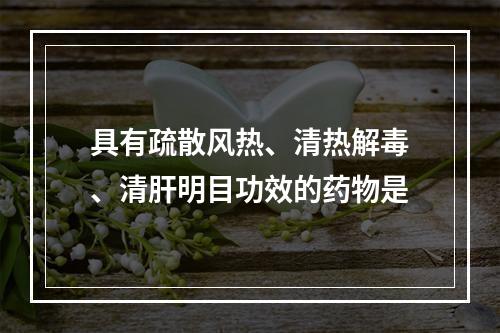 具有疏散风热、清热解毒、清肝明目功效的药物是