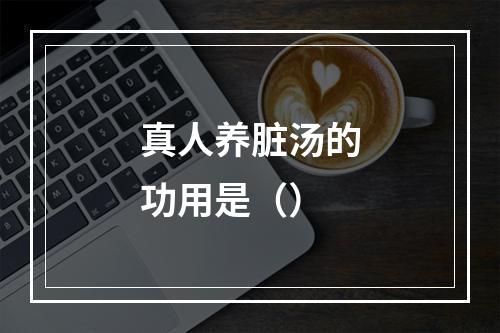 真人养脏汤的功用是（）