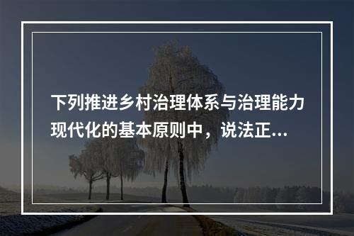 下列推进乡村治理体系与治理能力现代化的基本原则中，说法正确的