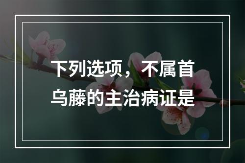 下列选项，不属首乌藤的主治病证是