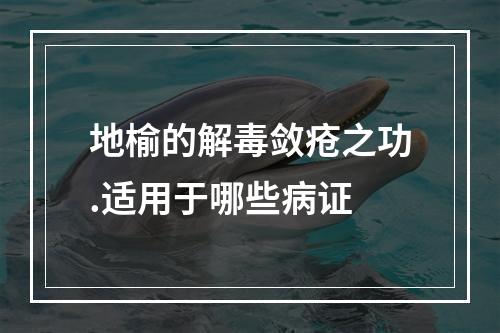 地榆的解毒敛疮之功.适用于哪些病证