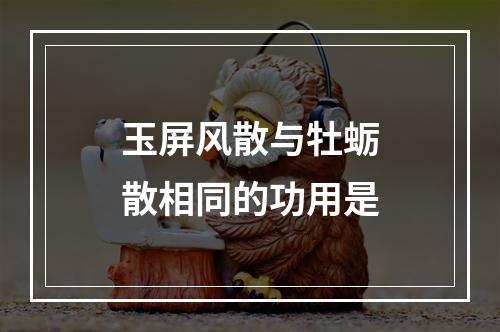 玉屏风散与牡蛎散相同的功用是