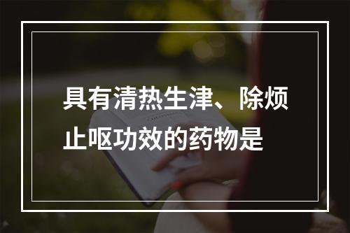 具有清热生津、除烦止呕功效的药物是