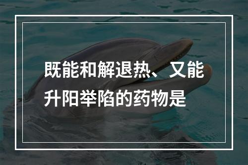 既能和解退热、又能升阳举陷的药物是