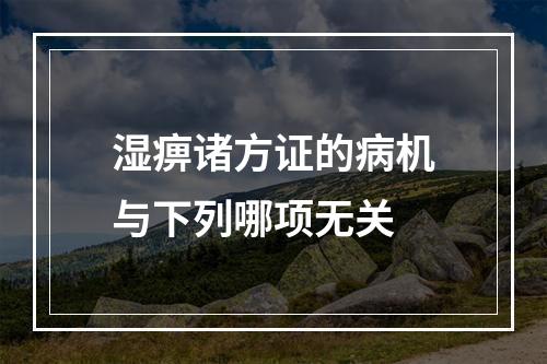 湿痹诸方证的病机与下列哪项无关