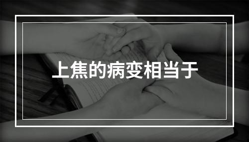 上焦的病变相当于