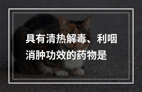 具有清热解毒、利咽消肿功效的药物是