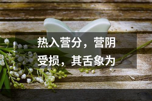 热入营分，营阴受损，其舌象为