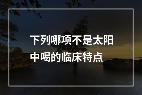 下列哪项不是太阳中喝的临床特点